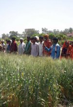 Agriculture